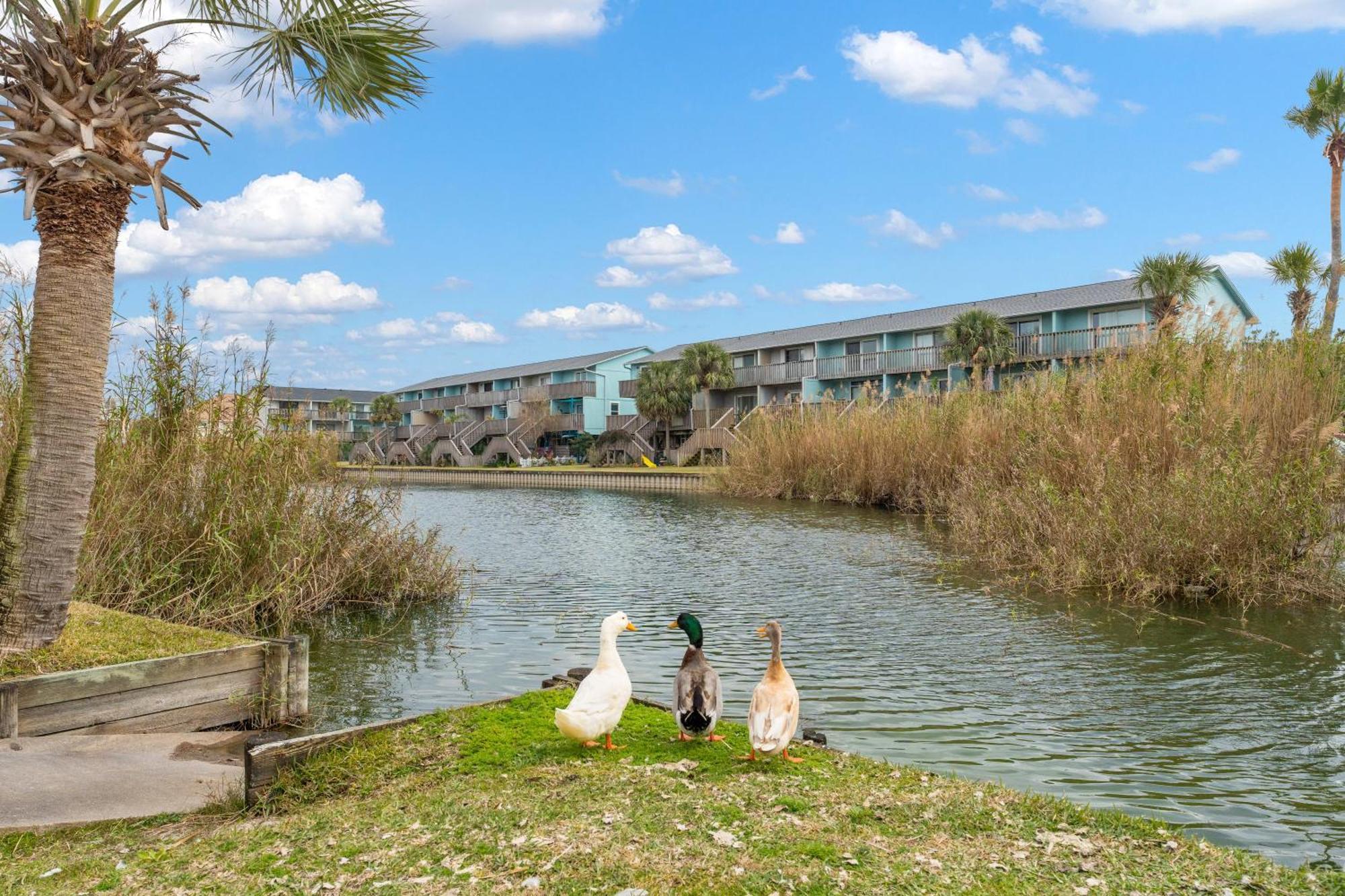 Villas On The Gulf L1- Ocean View Steps To Beach! Pensacola Beach Buitenkant foto
